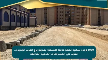 5000 وحدة سكنية بخطة عاجلة للإسكان بمدينة برج العرب الجديدة.. تعرف على المشروعات الخدمية المرافقة